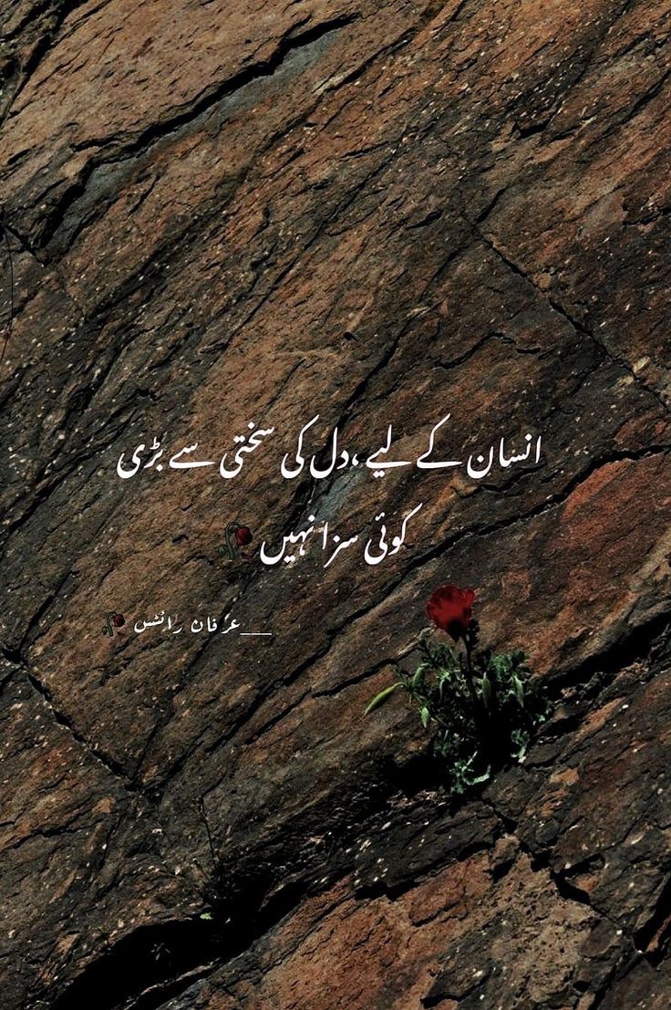 Fatima Shah (@fatimashah87) on Twitter photo 