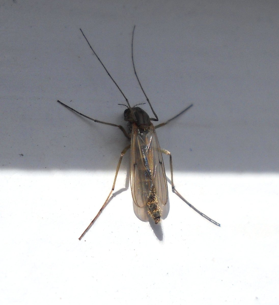 Paul Brain tweet media