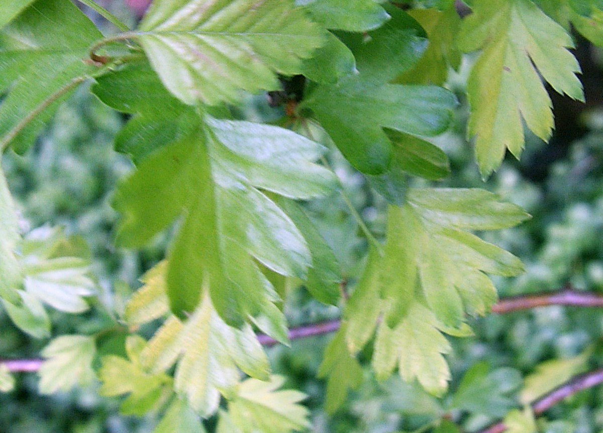 Paul Brain tweet media