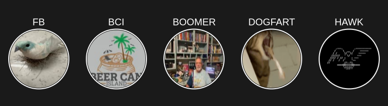 Neglect Alerts tweet media