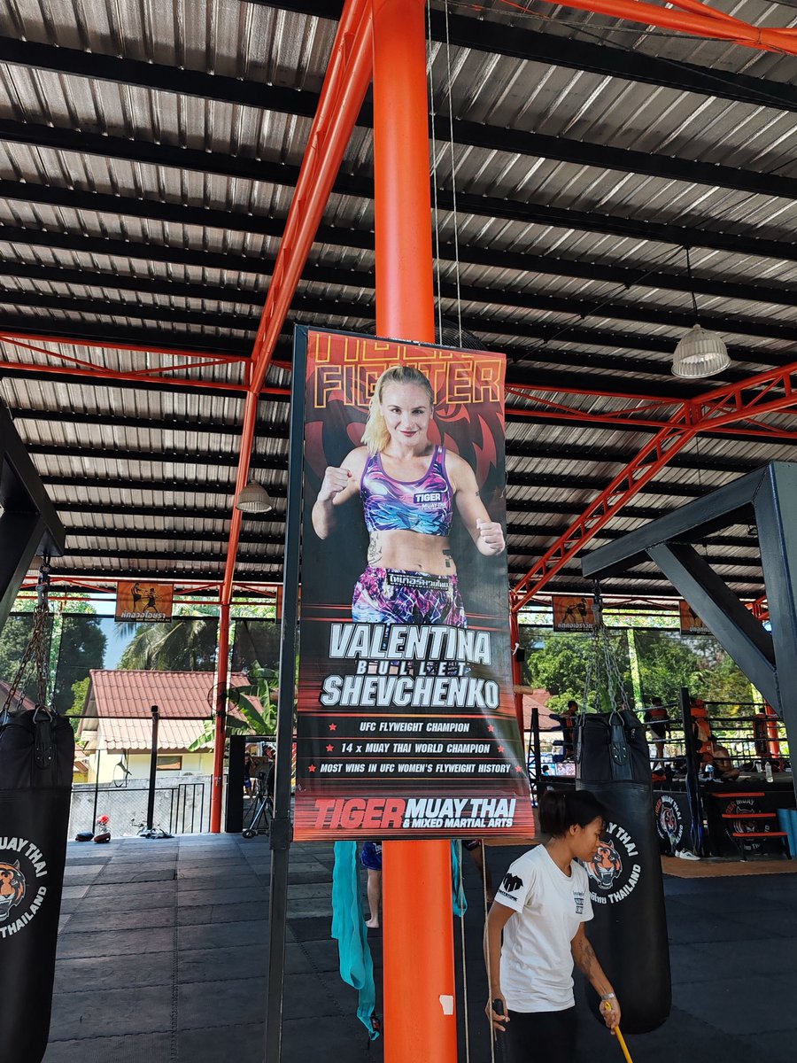 Yan Fanboy tweet media