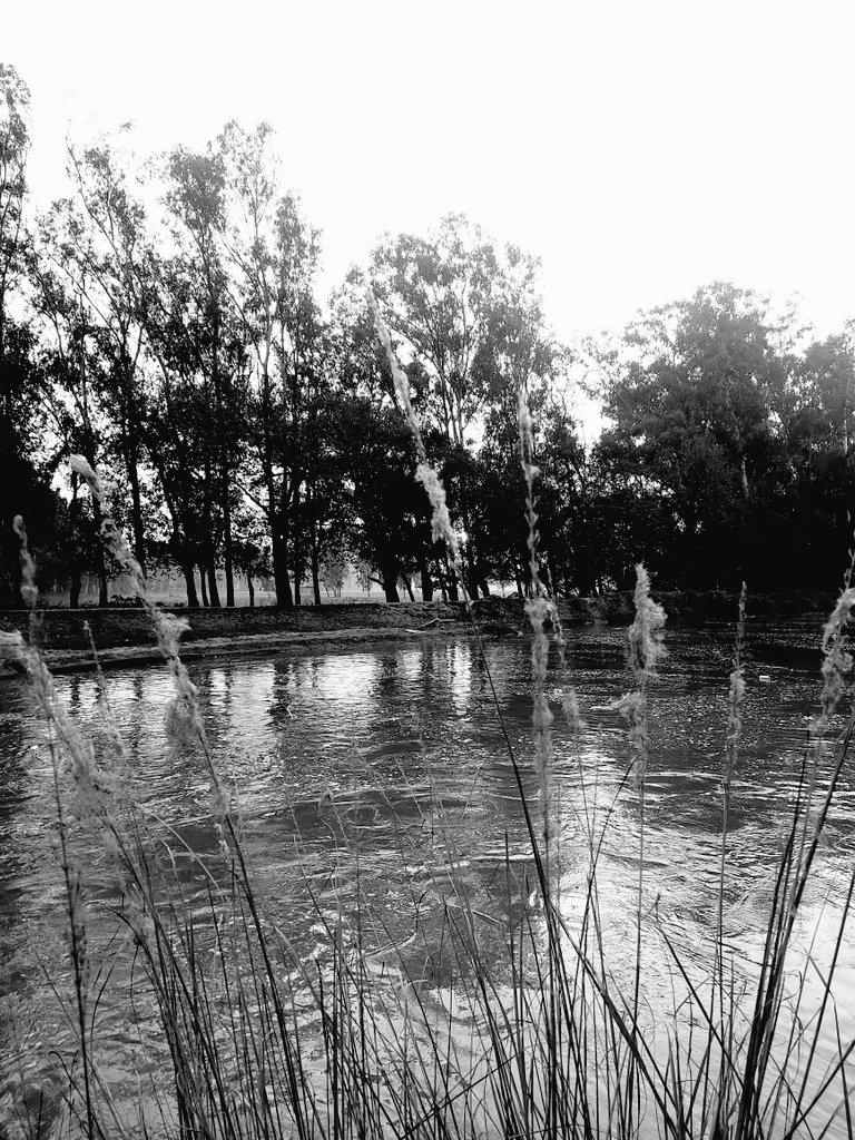 5aab4ever's tweet photo. Black and White Countryside photos #ShotOnSnapdragon #ShotOnSamsung #Monochrome #blackandwhitephotography #XApp #ArtistOnTwitter #ArtistsOnX #XAndroidApp #Sunset #Water #landscapephotography #Punjab #India #Nature #architecture #Outback #Peace #Serenity #Harmony #HighContrast https://t.co/VX25Jf3OFC