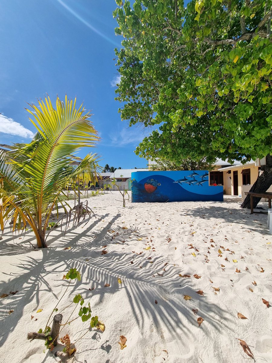 MaldivianArtists-MAC (@maldivian_art) on Twitter photo 