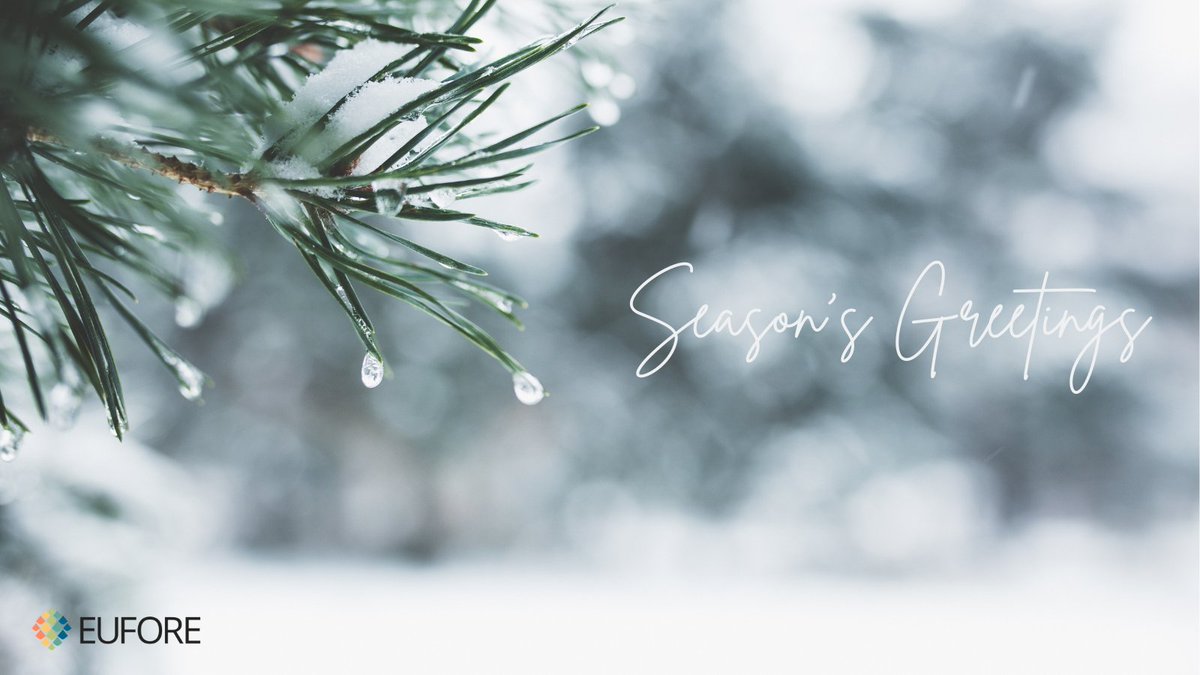 A warm thank you to all of our project partners, collaborators and stakeholders for your dedication and inputs in 2024. We wish you a wonderful holiday season and look very much forward to continuing our joint efforts in 2025.