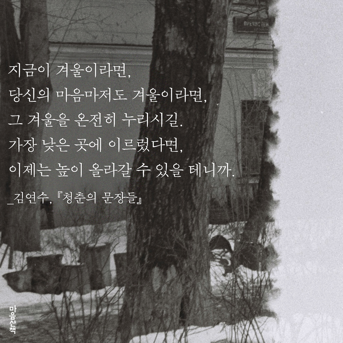 "지금이 겨울이라면, 당신의 마음마저도 겨울이라면, 그 겨울을 온전히 누리시길. 가장 낮은 곳에 이르렀다면, 이제는 높이 올라갈 수 있을 테니까."

_김연수, 『청춘의 문장들』
