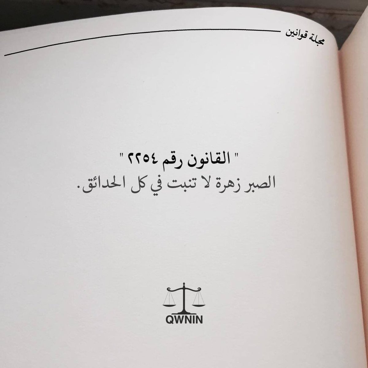 mohammed_mem's tweet photo. " الصبر زهرة لا تنبت في كل الحدائق " https://t.co/MCxu2MMksZ