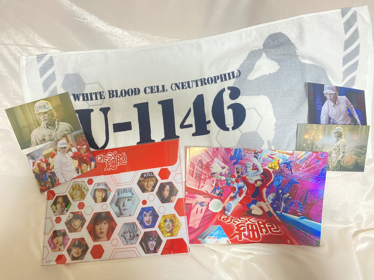 Fanta_n7's tweet image. グッズいっぱい買えて幸せ👼🏼❤️
 #佐藤健  #佐藤健好きと繋がりたい  #佐藤健sugar  #はたらく細胞   #白血球