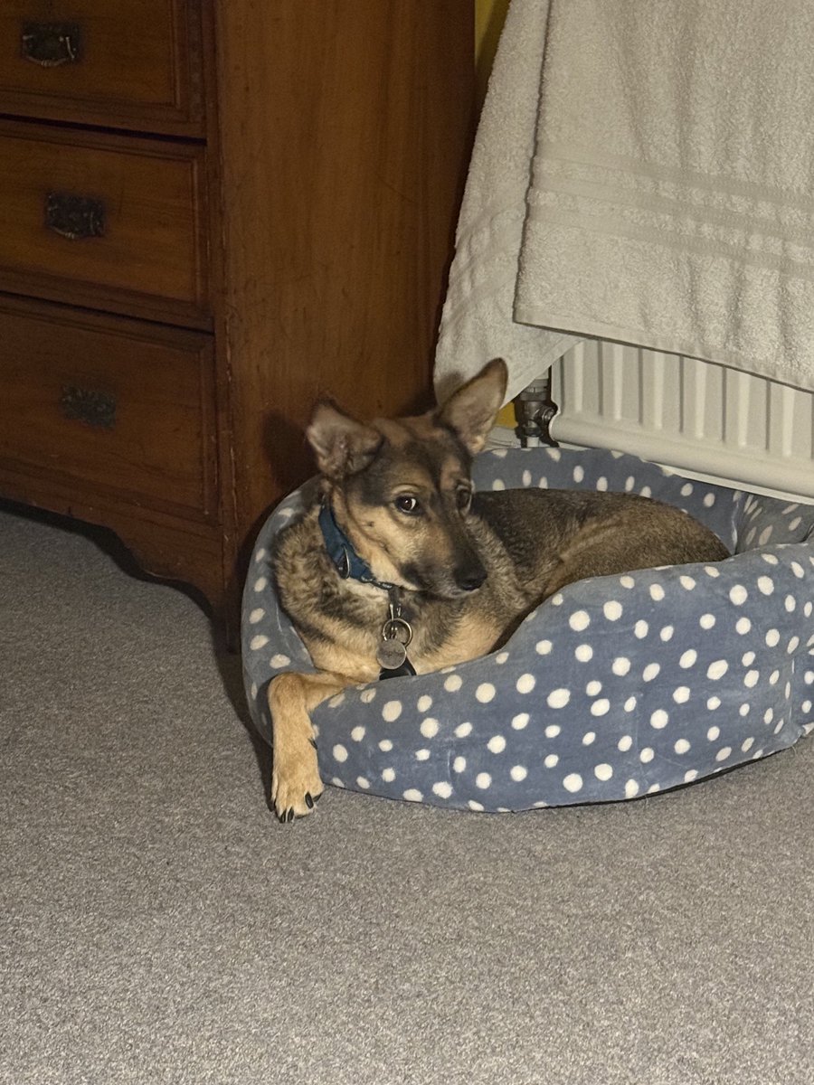 Rory Cellan-Jones tweet media