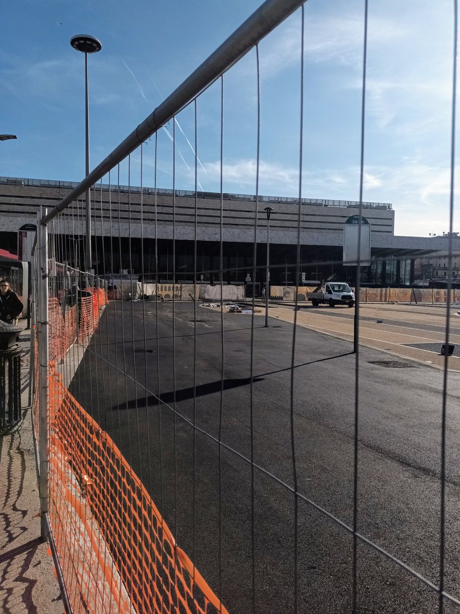 Doveva essere una foresta contro le isole di calore invece è una colata d'asfalto.
Roma è pronta per il grande Giubileo