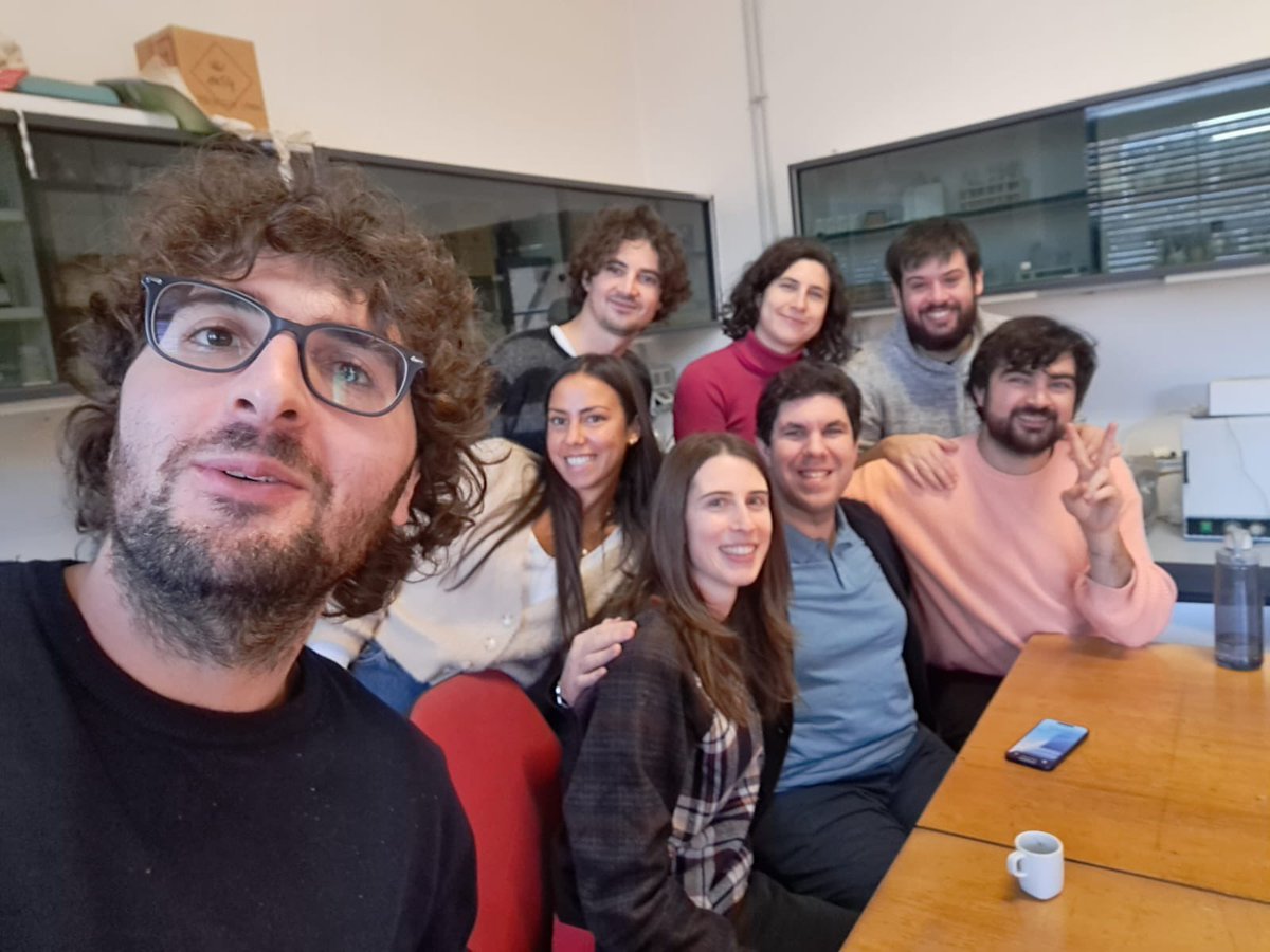 The Little Group of Complex Matter tweet media