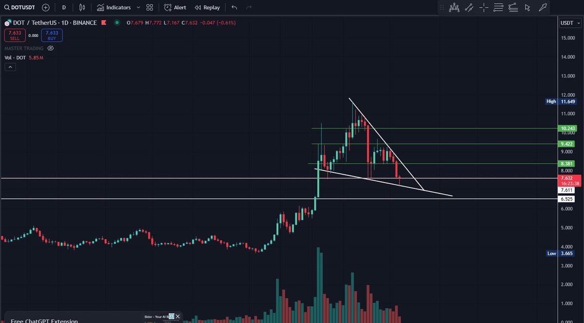 pankuvirat tweet media