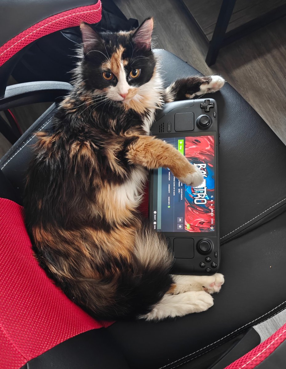 I don't care what the PEGI rating is, I'm teaching her how to gamble