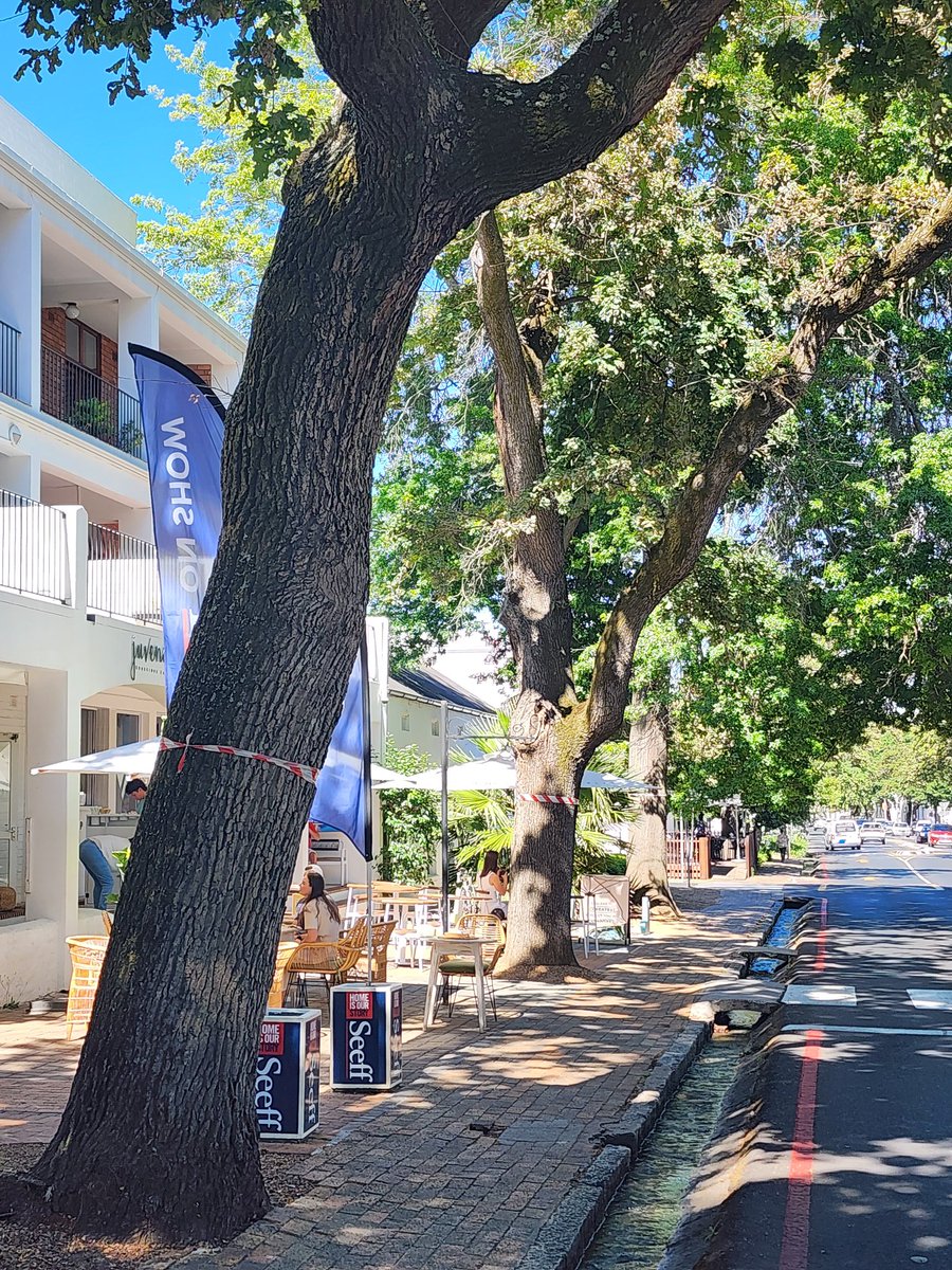 TreeWorks 0118848088 tweet media