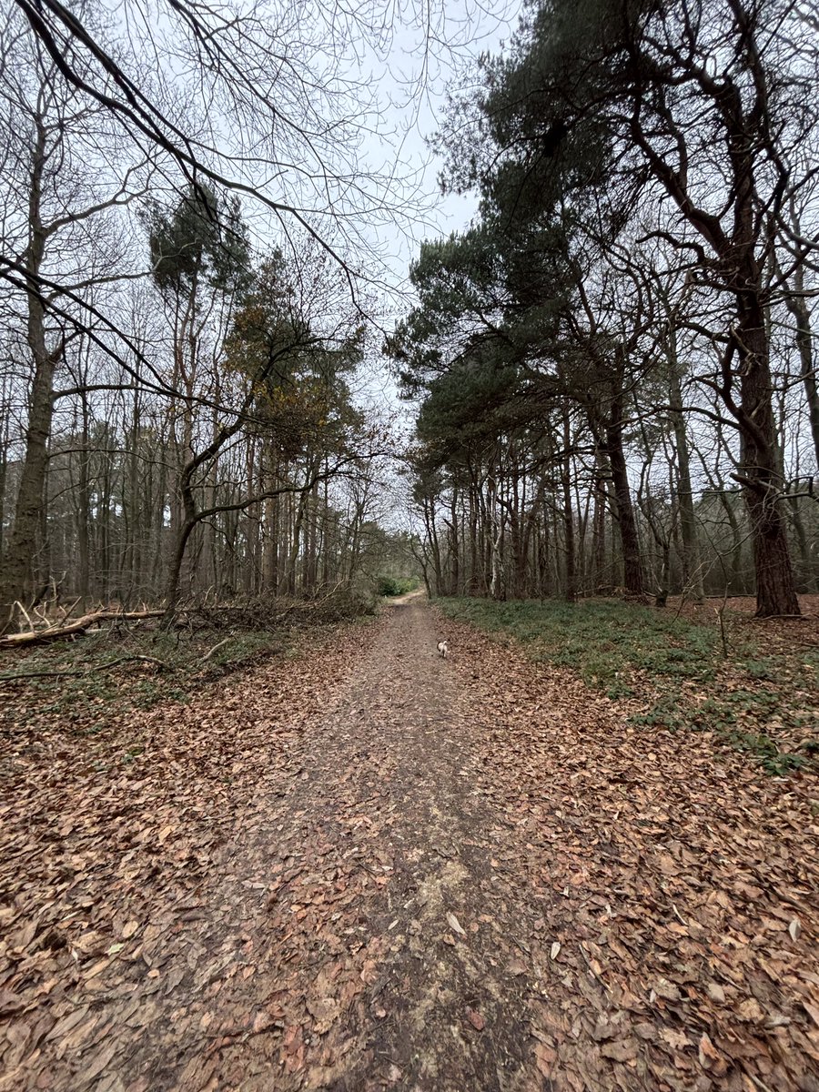 Pix 🎨 tweet media