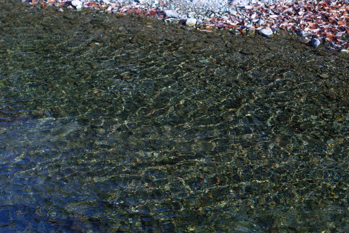 Toki_COMORIVER's tweet image. 【本日の都幾川】

当施設は清流が目の前に流れる
ホテル&amp;amp;アウトドアサウナの施設です✨

本日の水温は…
7.9度！！

温度計の日付と時間が全然合っていないのはないしょです🤫

#COMORIVER