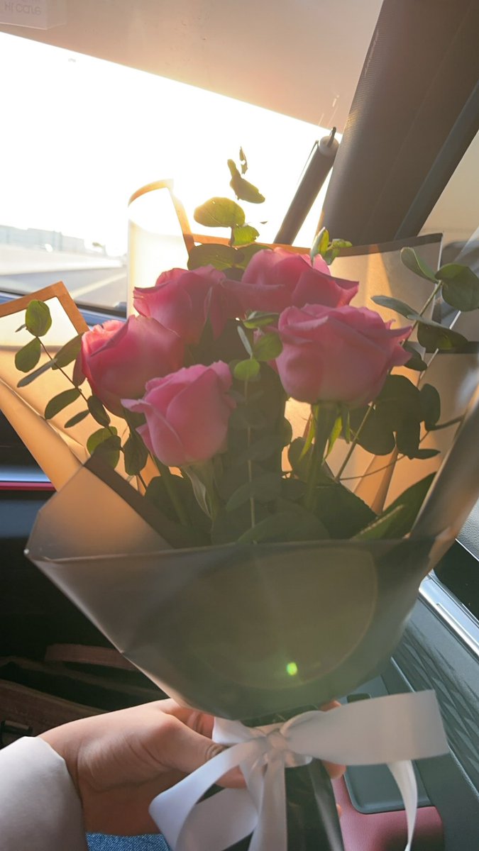 hajar_alkholy's tweet photo. 💖🌿 https://t.co/B8wQJo1uAK