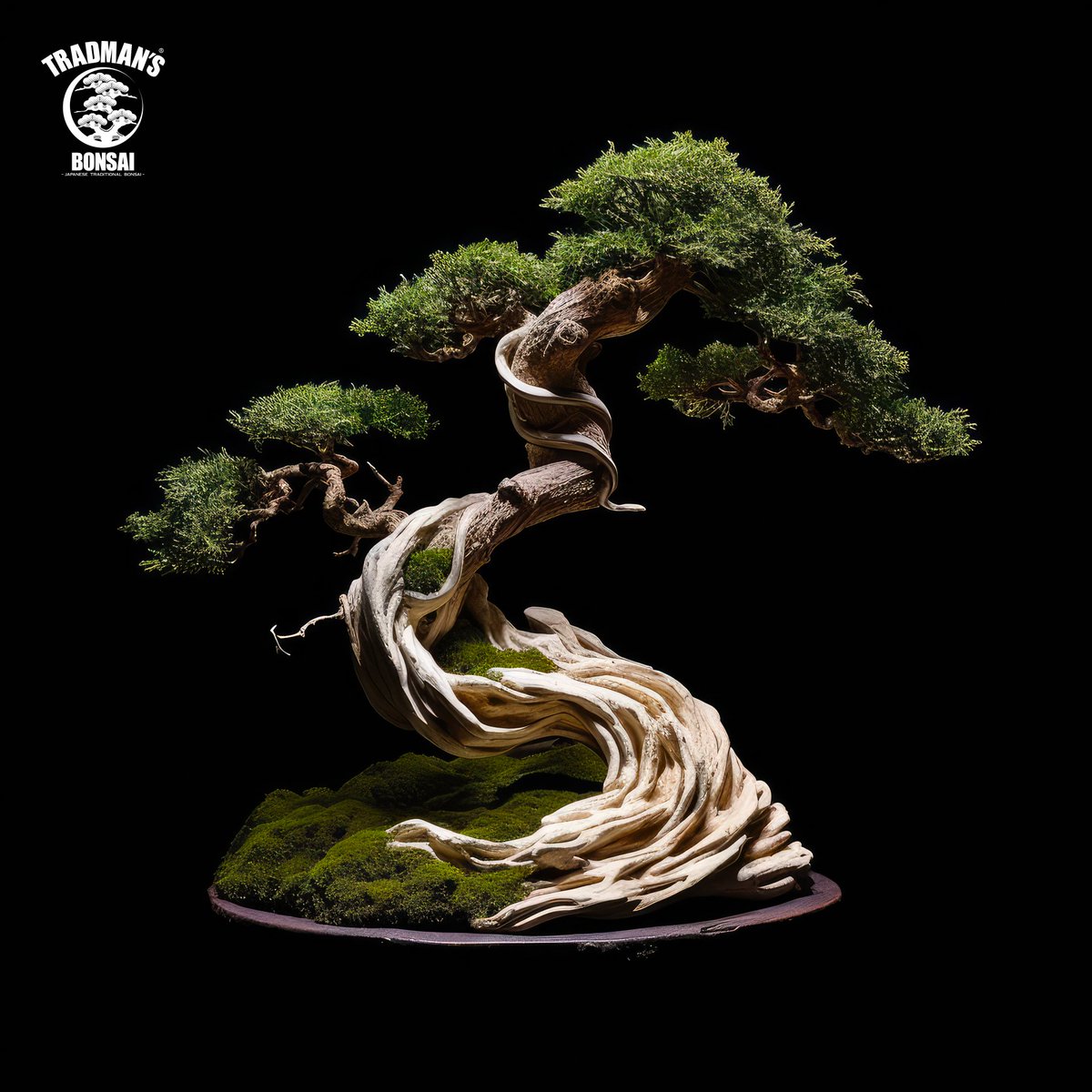 NewFactoryTokyo's tweet photo. 盆栽プロデューサー 小島鉄平によるデジタルアートプロジェクト、“TRADMAN’S BONSAI NFT”のジークレープリント作品の抽選販売のお申込みを開始いたします。

抽選販売のお申込みはこちらから。
https://t.co/gyzXDQxhvg

#小島鉄平 #盆栽 #アート #ジークレー https://t.co/CWWjy2GYsT