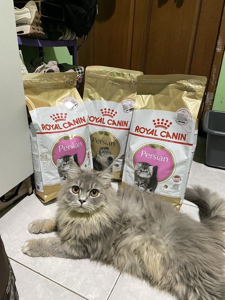 cenang cekali cillo jadi anaknya mamii. mam cillo cangat enakk😋😋cillo cayang mamiii😻🫶🏼