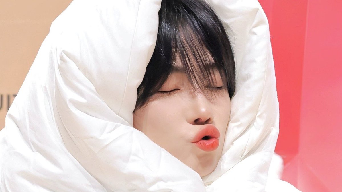 chnhezZz's tweet photo. blanket penguin 🛏️🐧 https://t.co/t9OJaUUhAp