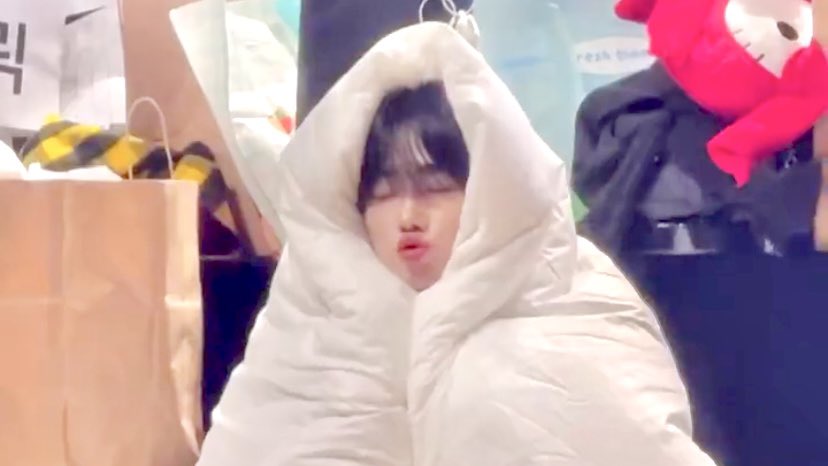 blanket penguin 🛏️🐧