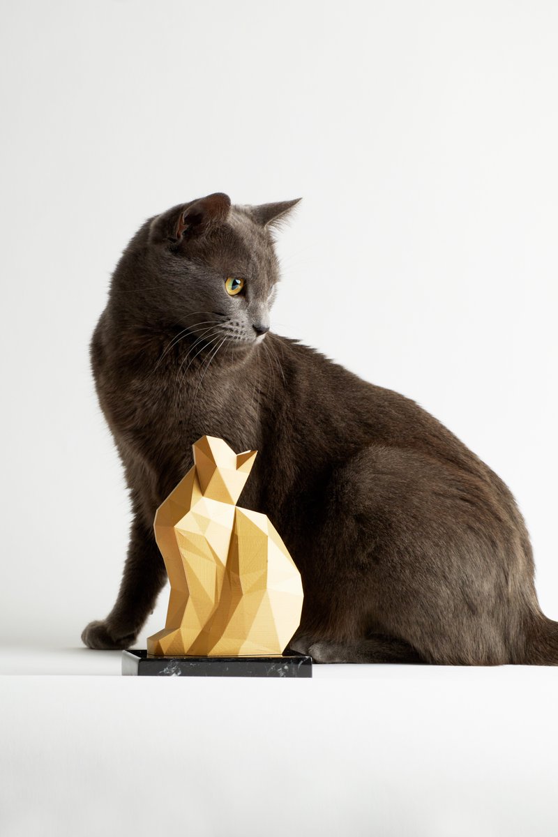 Les Chatons d'Or vous souhaitent de belles fêtes de fin d'année et vous donnent rendez-vous en 2025 ! #staytuned