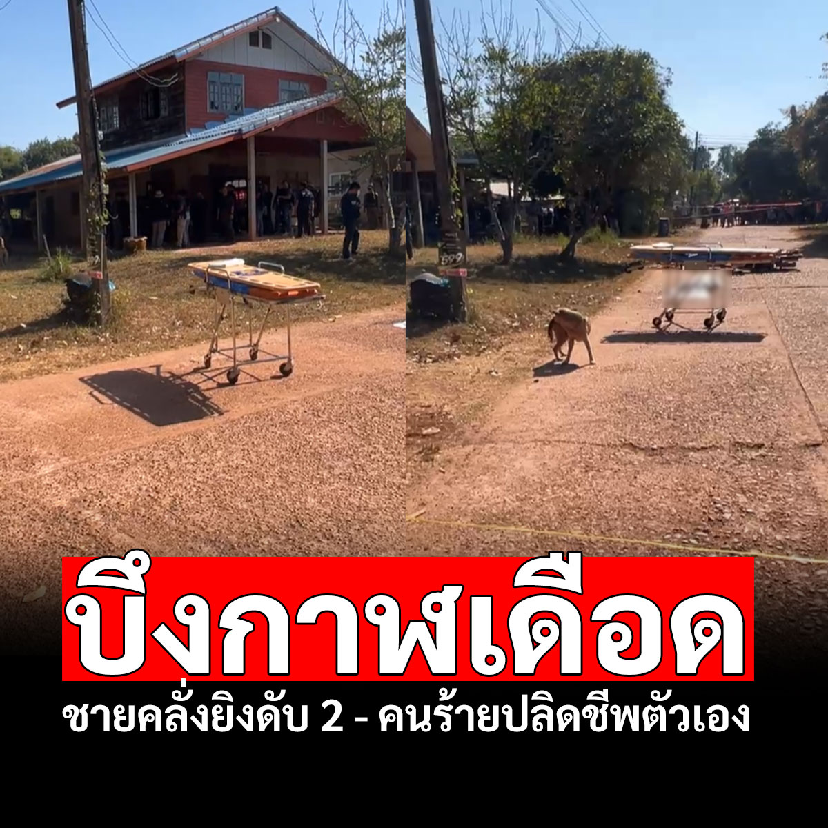 ClubMayer27's tweet photo. จากเหตุกราดยิงใน จ.#บึงกาฬ  ทำให้มีคนในพื้นที่เสียชีวิต 2 คน และมีผู้บาดเจ็บหลายราย 

ข่าวล่าสุด : อัพเดท ผู้ก่อเหตุจบชีวิตตัวเองแล้ว 📌📌
#กราดยิง #บึงกาฬ https://t.co/IkrprJSGM3