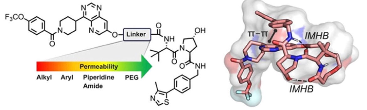 vasanthanathan's tweet image. We’re thrilled to share our latest research exploring the solution ensembles of #PROTACs in nonpolar solvents and their impact on #cell #permeability!
Check out the full paper lnkd.in/dpa_nV59
#DrugDiscovery #PROTACs #NMR #conformation #chemicalmodalities #CompChem#bRo5