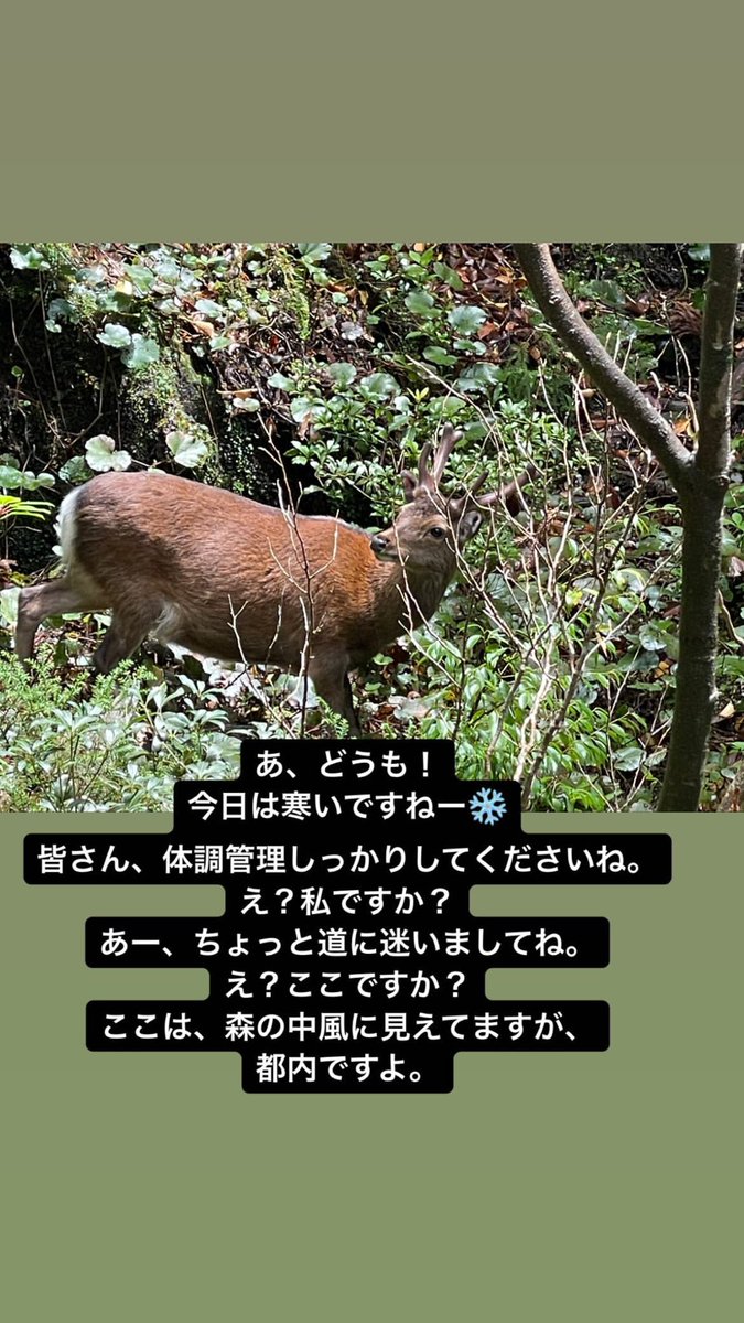 ntayn24's tweet photo. #HAPPYHOLIDAYS

3年前鹿になった西島さん🦌 https://t.co/bGJls9jAfd