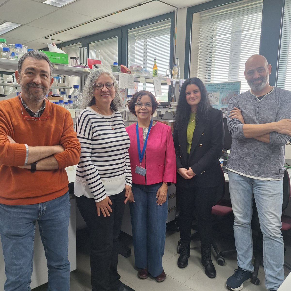 Pablo de Olavide (@pablodeolavide) on Twitter photo 🔬👏 ¡Enhorabuena al equipo liderado por Manuel J. Muñoz por este avance! Su estudio, publicado en Biomedicine & Pharmacotherapy (<a href="/ClinicalKey/">ClinicalKey</a>), demuestra cómo los azúcares simples pueden aliviar los síntomas de la #galactosemia tipo III, una enfermedad metabólica rara.
Un paso 🔬👏 ¡Enhorabuena al equipo liderado por Manuel J. Muñoz por este avance! Su estudio, publicado en Biomedicine & Pharmacotherapy (<a href="/ClinicalKey/">ClinicalKey</a>), demuestra cómo los azúcares simples pueden aliviar los síntomas de la #galactosemia tipo III, una enfermedad metabólica rara.
Un paso