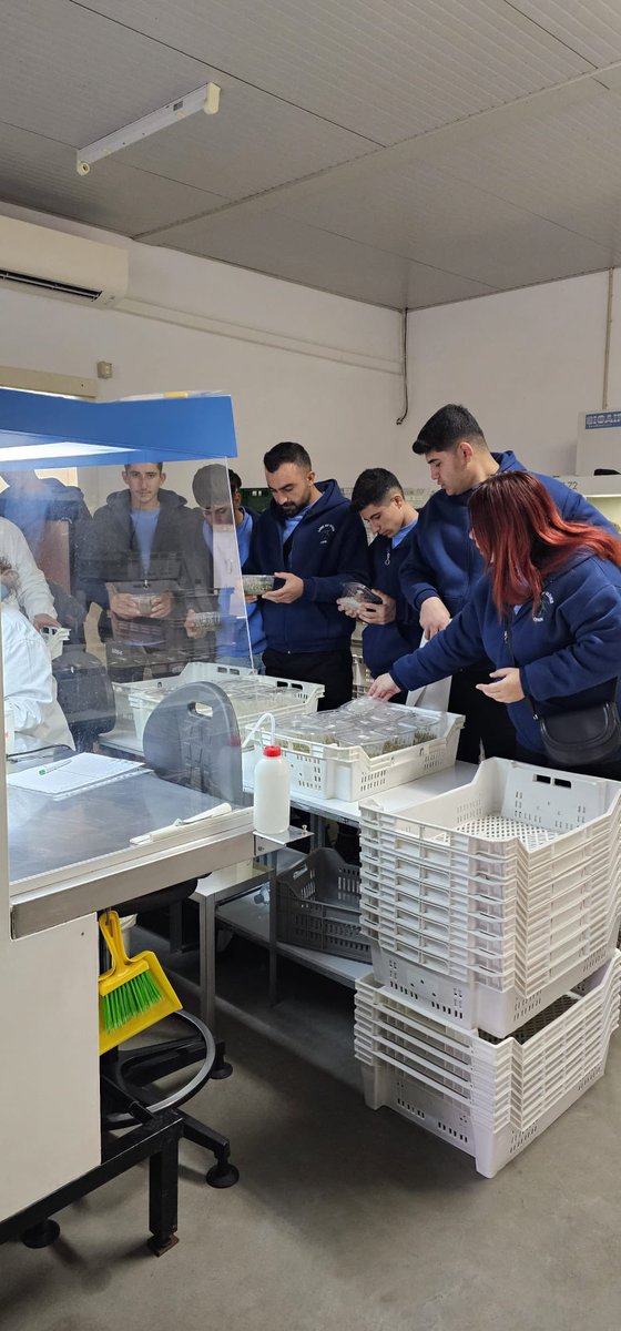 MardinDerikMtal's tweet photo. Erasmus+ Mesleki Eğitim Öğrenci ve Personel hareketliliği kapsamında 2023-1-TR01-KA122-VET-000163562 numaralı  Derik Uluslararası Zeytincilik! projemizle İtalya Bologna’dayız. @mardinilmem @ali_eyyupkoca @MstfaKAHRAMAN https://t.co/mf5O0oBsvx