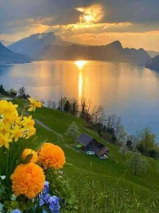 #همسة_تفاؤل 

قد تمر بظروف تظن أن ليس لها 
مخرج لكن الذي بيده إصلاح الحال وتبديل الأحوال هو الله فتوكل عليه ،
فاهجر همك وأزل غمك وأنسي حزنك 
وأطرد يأسك لأن الله معك ..

#ثق_بربك❤️