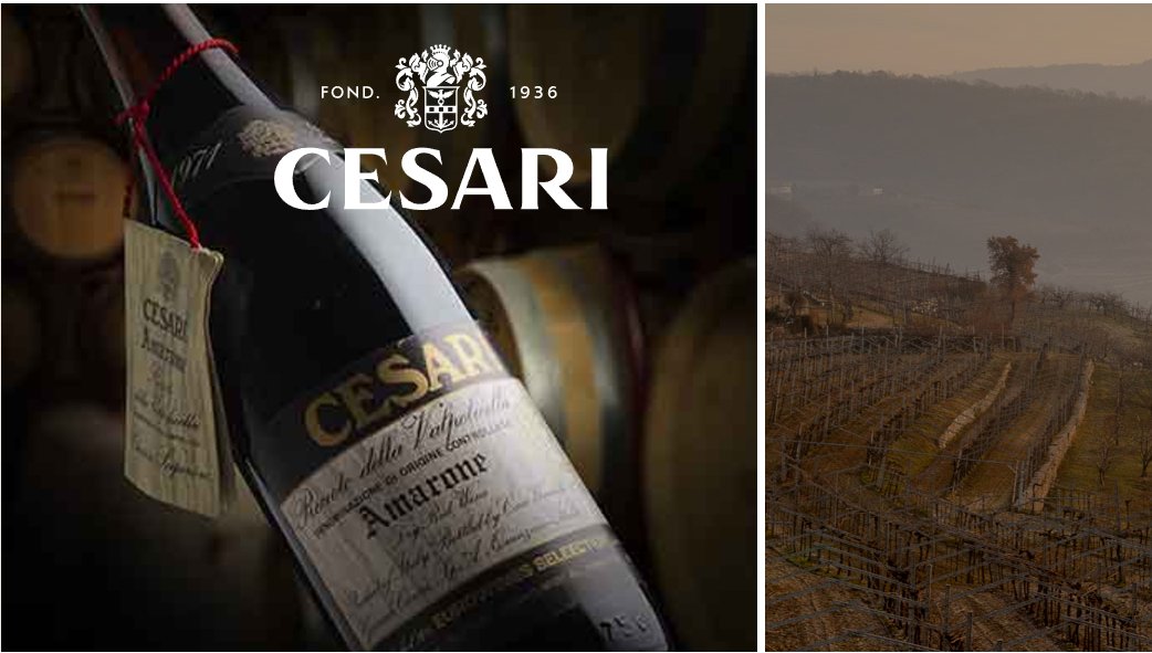 New post (Cesari: tradizione, evoluzione, sinergia ed espressione del territorio) has been published on FOOD AND WINE MAGAZINE - foodandwinemagazine.it/cesari-tradizi…
