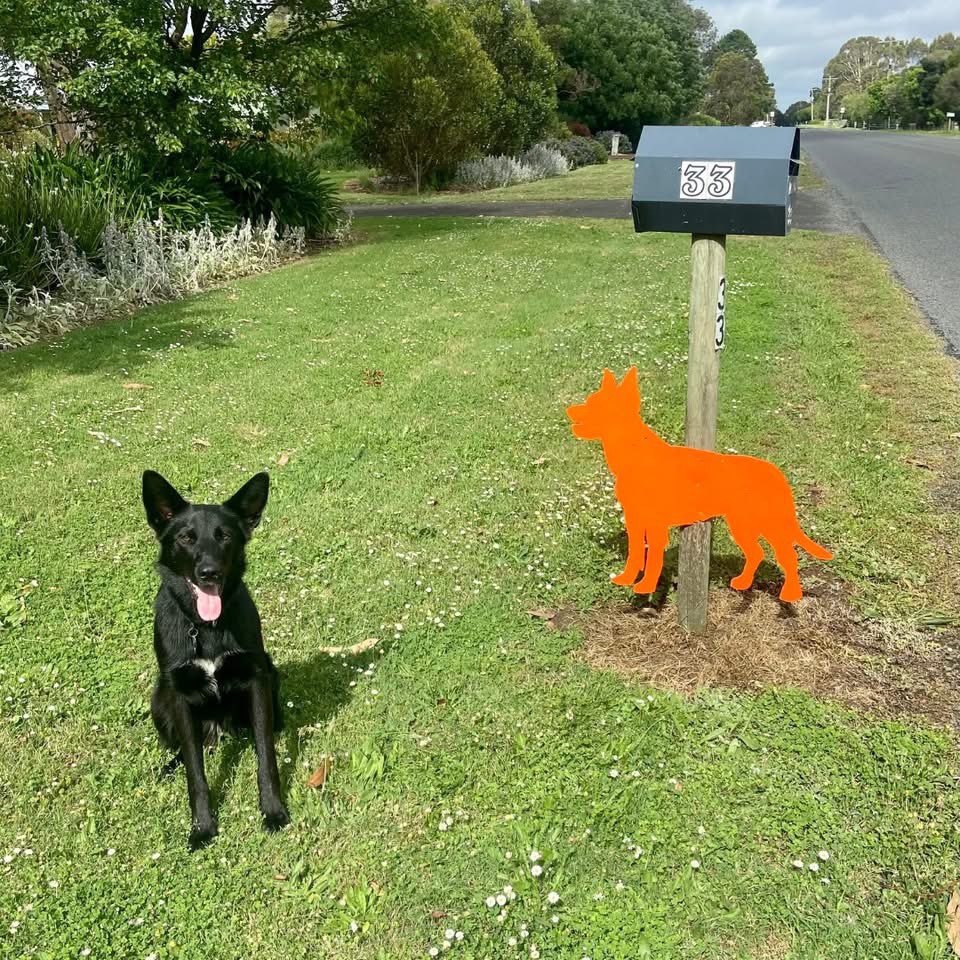 Alex Dyson’s Kelpie mascot is still popping up over Wannon.
Hard working, loyal and listens to instructions seeking a better deal for Wannon. 
Click link below to request your own.

alexdysonindependent.com/contact

#wannonvotes #auspol #independent