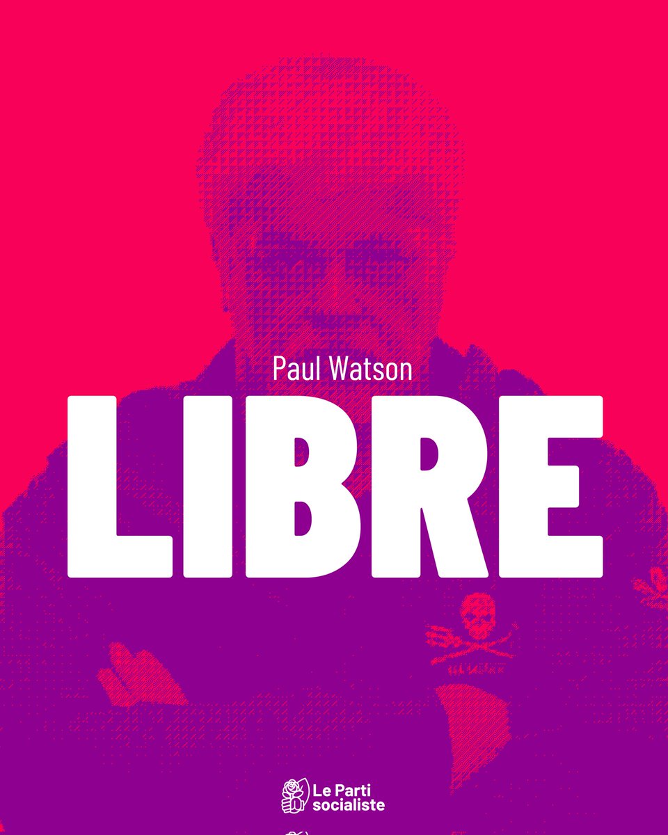 Quel soulagement de savoir Paul Watson enfin libéré ! Son combat pour la protection des océans, et ceux de tous les militants écologistes sont importants et doivent être protégés.