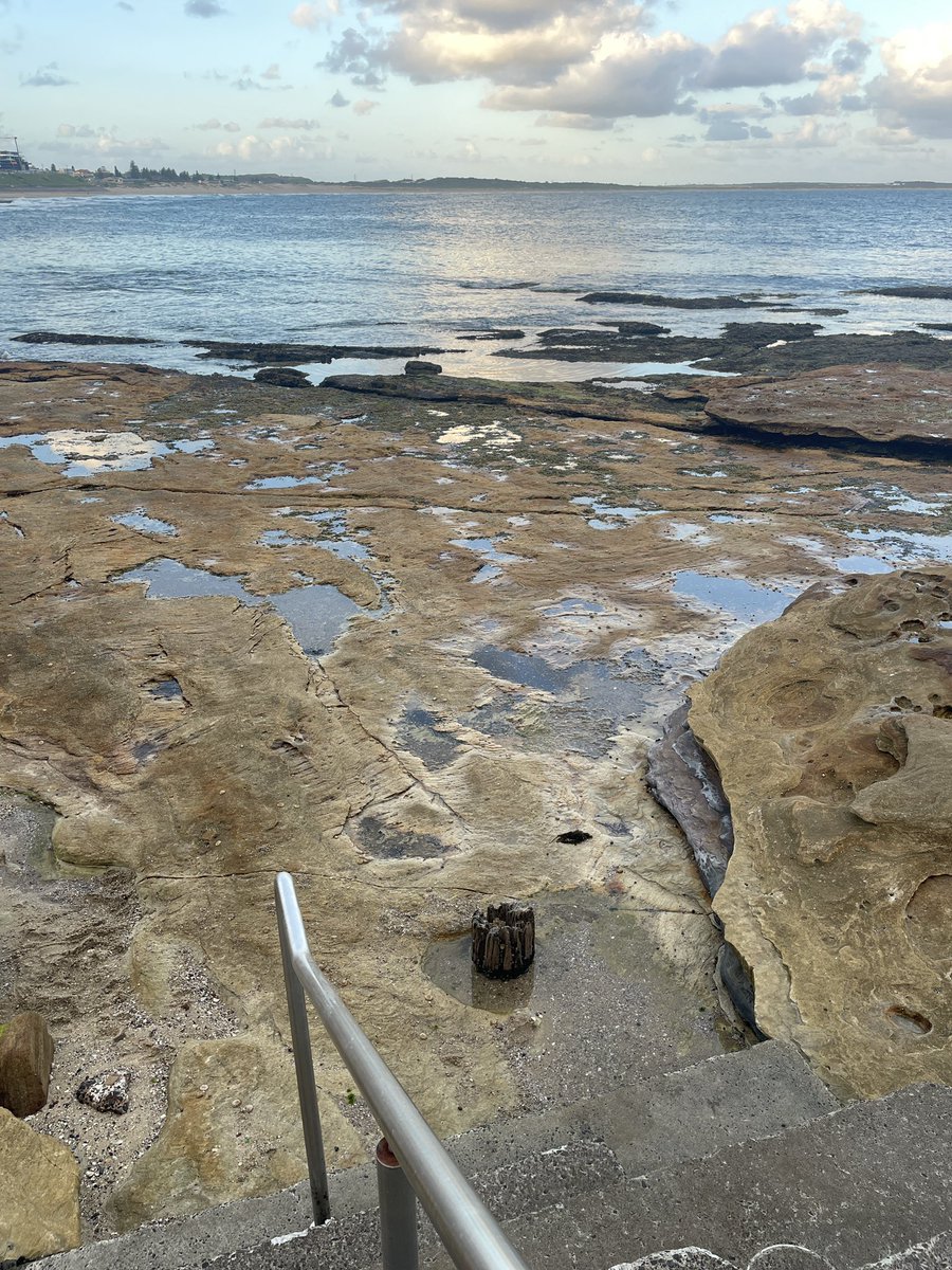 Steven Ellis tweet media