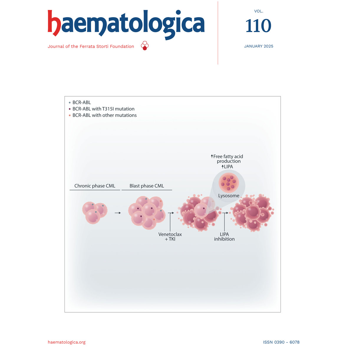 January 2025 issue is available online. See and download for free the Haematologica Digital Edition! haematologica.org/preview/digita…