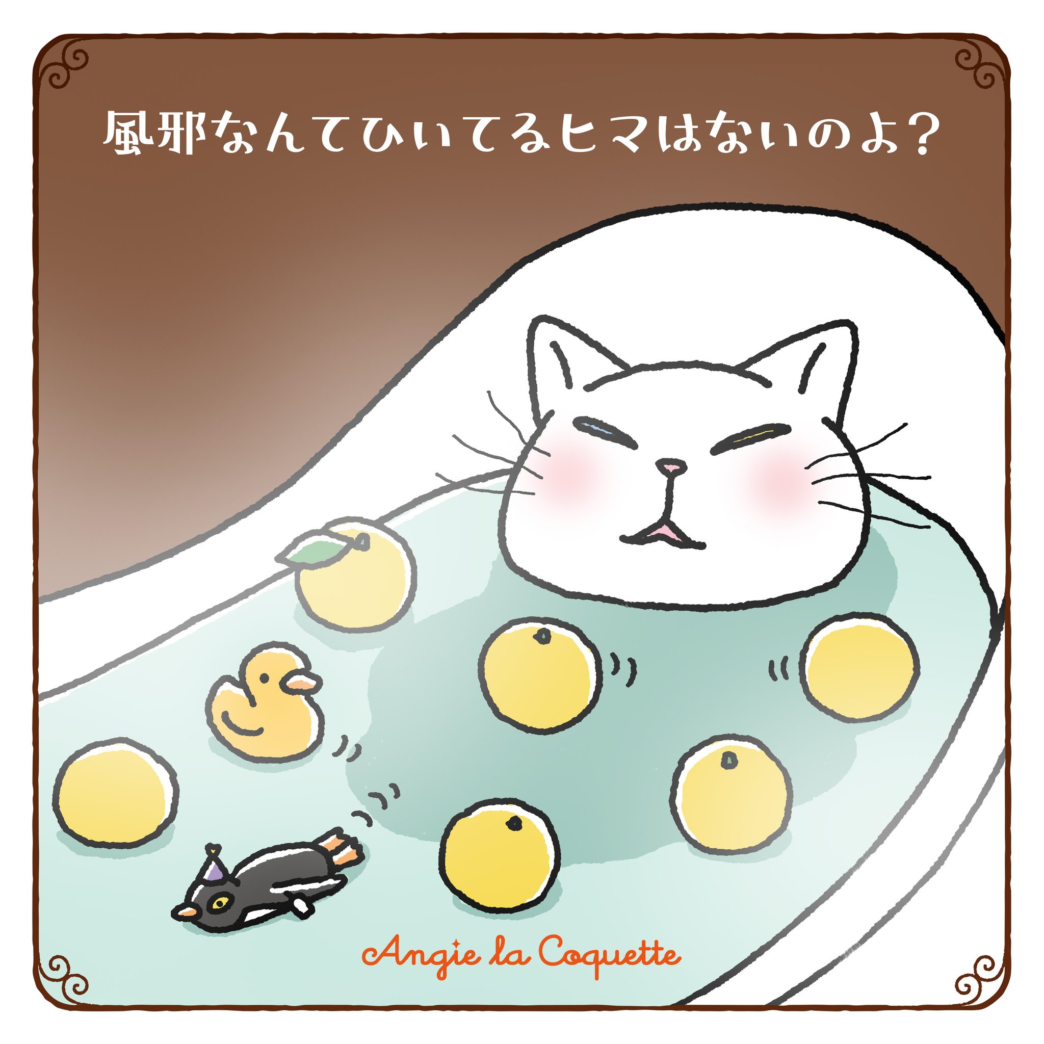 ゆこの⭐︎アルファベットネコ 猫のせつ君 on X: 