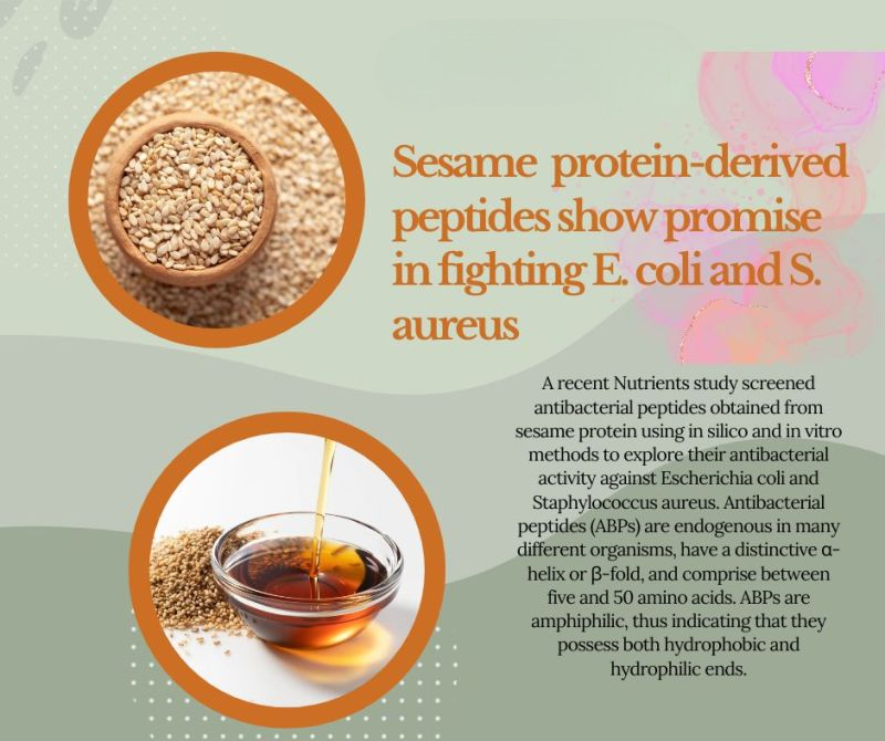 andrewjohnpub1's tweet image. Sesame protein-derived peptides have demonstrated potential in combatting E. coli and S. aureus infections 🌿💪 These findings offer a promising avenue for developing natural antimicrobial agents #SesameProtein #PeptidePower #FightInfections