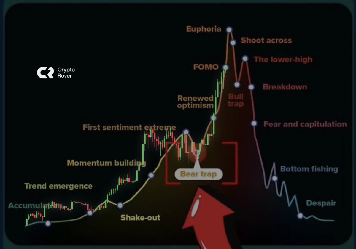 Crypto Rover tweet media
