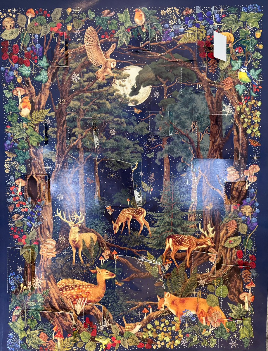 MarvellousMinds's tweet image. Day 19 of the writer&apos;s advent calendar... it&apos;s another ladybird who really should be asleep!
Today&apos;s challenge is to write a micro-fiction of 10 words or fewer about this spotty insect.
#AdventChallenge
#WritingCommunity 
#WinterJoy