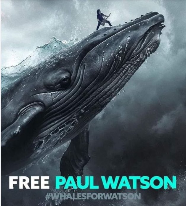#Merci #PaulWatson #Free un énorme merci à la justice du Danemark pour ne pas avoir extradé P.Watson au Japon 🙏🏻👏💪🏼👍
