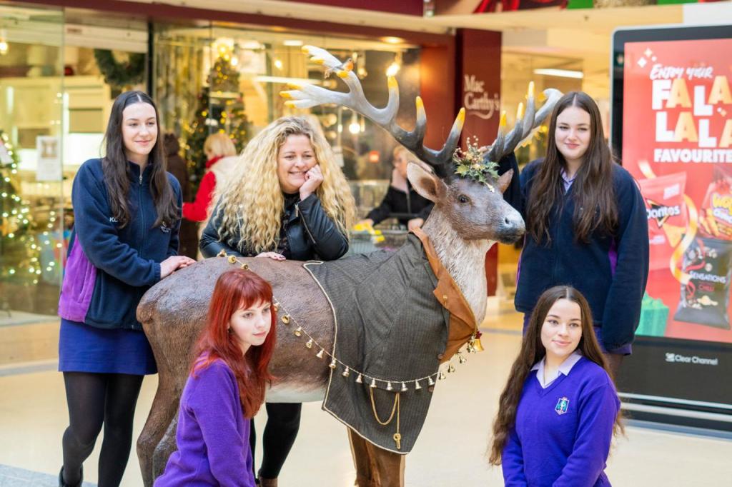 reginamundicork's tweet image. Community Artwork gave Regina Mundi the opportunity to collaborate with Douglas Court Shopping Centre in creating our festive reindeer Óengus. He is inspired by creativity and sustainability, where all clothing and accessories were sourced from local charity shops. Enjoy!