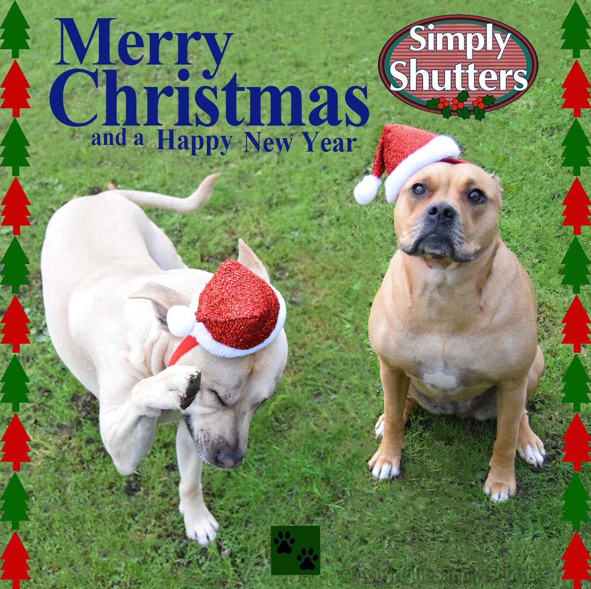 🎄🎅Wishing you all a very Merry Christmas and a Happy New Year 2025! 🎄🎄

🐶Here is our obligatory doggie themed Christmas Card. 🐾Merry woofmas!

#simplyshutters #merrychristmas #thankyou #happynewyear #doggiexmascard #luluanddave