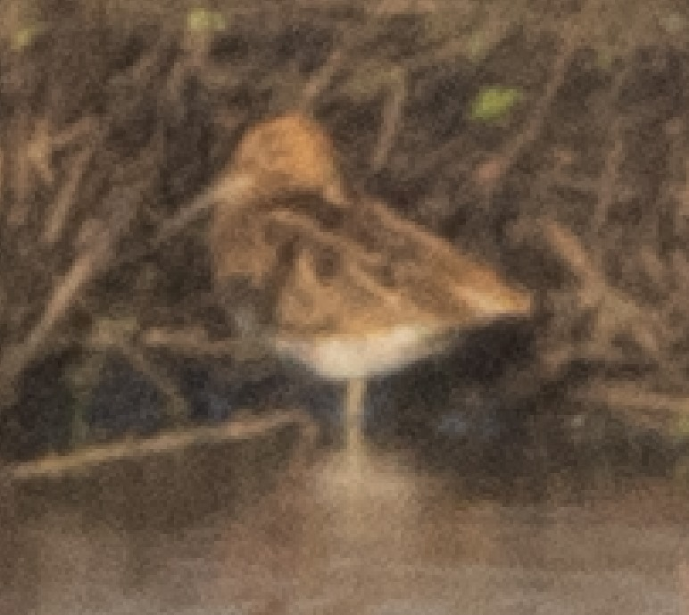 It's Topher Winward! ✌️ tweet media