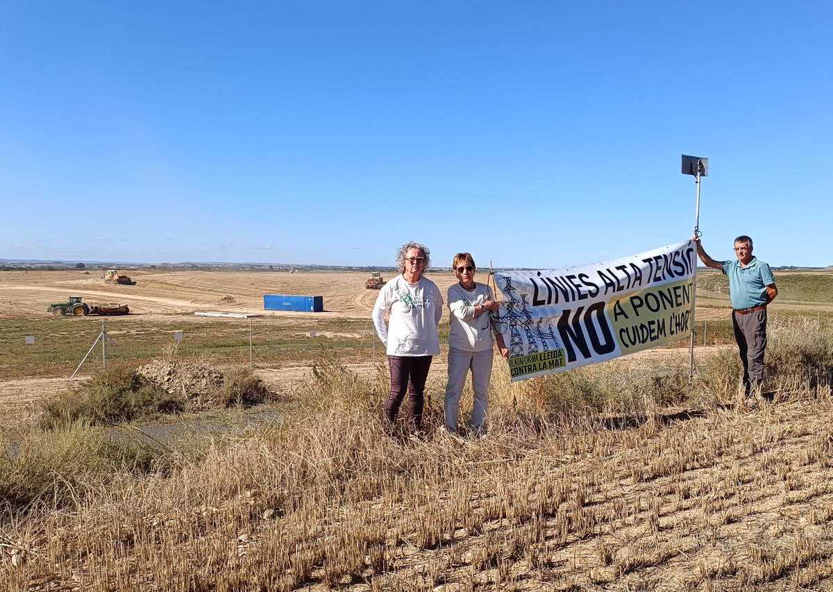 El Cargol tweet media