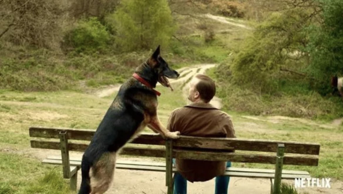 ForAntilly's tweet photo. “I don't believe in a soul, but if there is such a thing, dogs have got one.”

✧ Tony

#AfterLife https://t.co/oyWj3CB1sF
