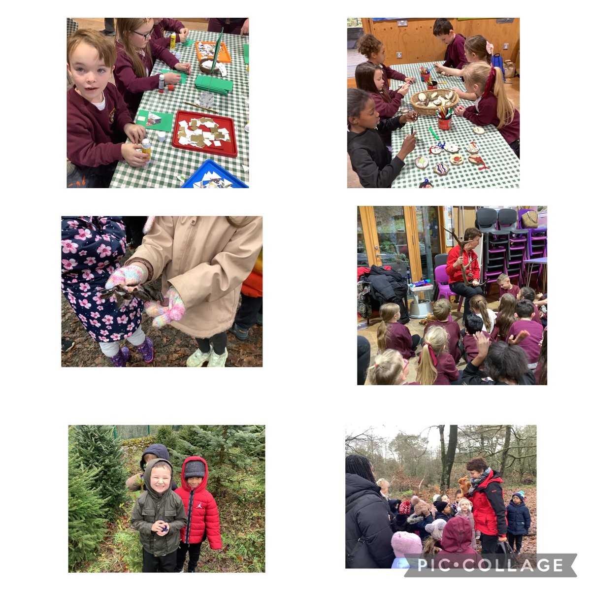 St Thomas More Primary tweet media