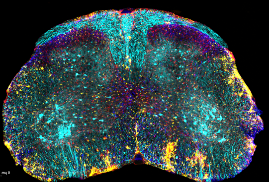 Rémi_Bos tweet media