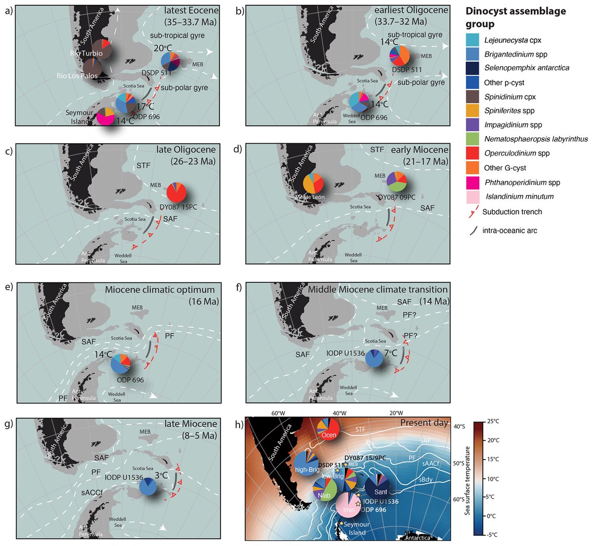 Adrián López-Quirós (@alquiros_earth) on Twitter photo 🚨Check out our new contribution in <a href="/TMS_JM/">The Journal of Micropalaeontology</a> 👉🏽Hoem et al. (2024). Stepwise Oligocene–Miocene breakdown of subpolar gyres and strengthening of the #AntarcticCircumpolarCurrent! doi.org/10.5194/jm-43-… 🚨Check out our new contribution in <a href="/TMS_JM/">The Journal of Micropalaeontology</a> 👉🏽Hoem et al. (2024). Stepwise Oligocene–Miocene breakdown of subpolar gyres and strengthening of the #AntarcticCircumpolarCurrent! doi.org/10.5194/jm-43-…