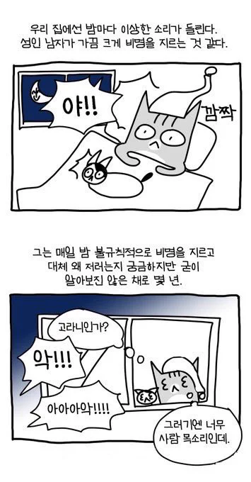 밤마다 집 밖에서 소리지르는 남자 #뚝뚝만화데일리 
